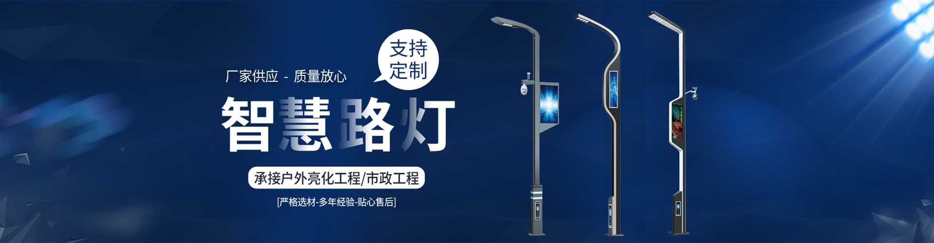 金寨县太阳能路灯定制厂家