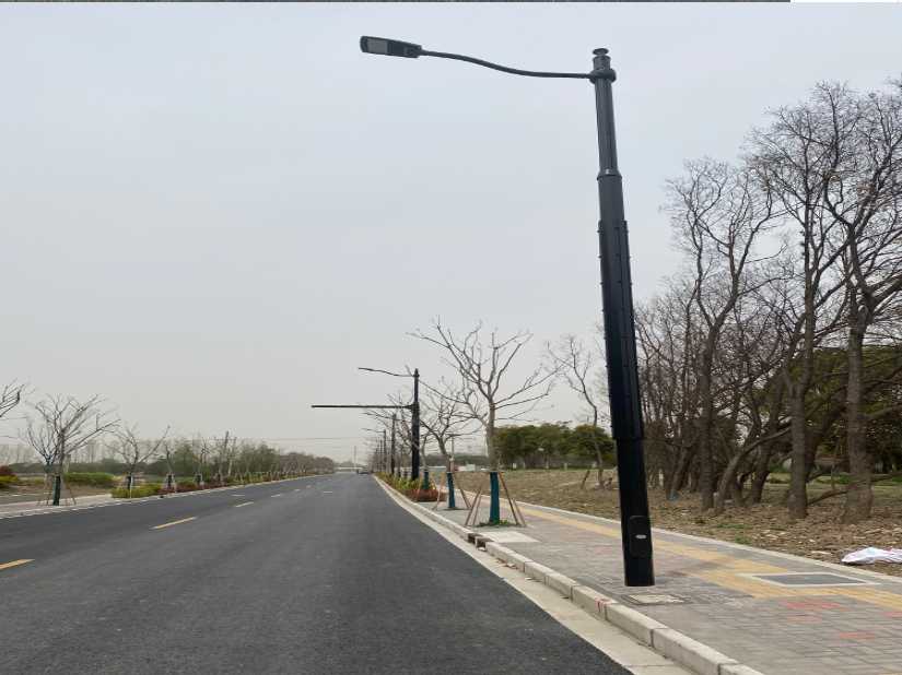 金寨县上海综合杆 太阳能路灯工程